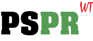 PS-Public Relations e.K. – Kundenportal